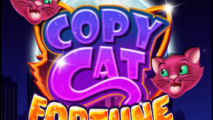 Copy Cat Fortune