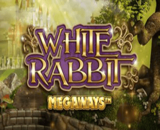 White Rabbit