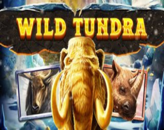 Wild Tundra