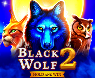 Black Wolf 2