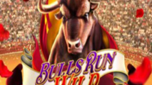 Bulls Run Wild