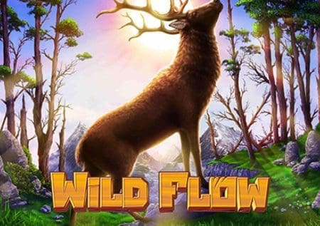 Wild Flow