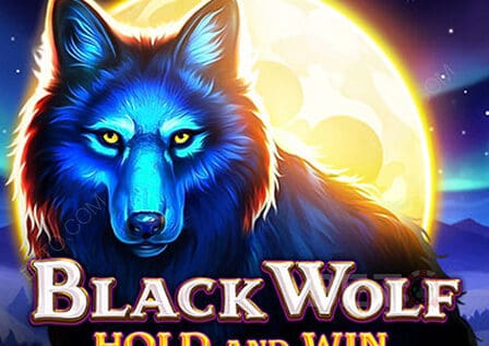Black Wolf