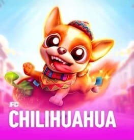 Chilihuahua