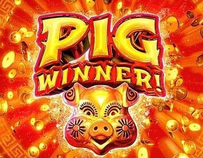 Pig Winner!